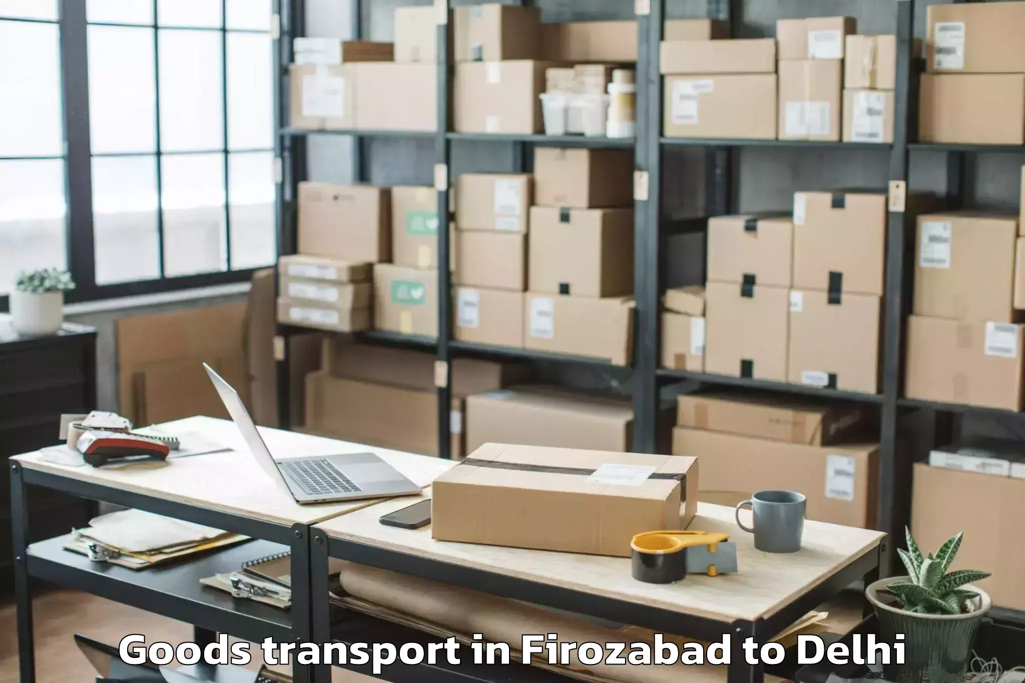 Top Firozabad to Unity One Janakpuri Mall Goods Transport Available